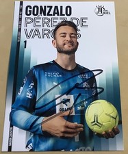 Gonzalo Perez de Vargas