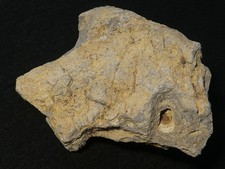 RARITÄT NÖRDLINGER RIES