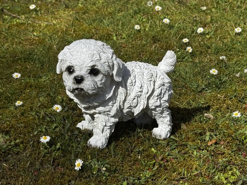 Gartenfigur hund bichon - bichon, welpe