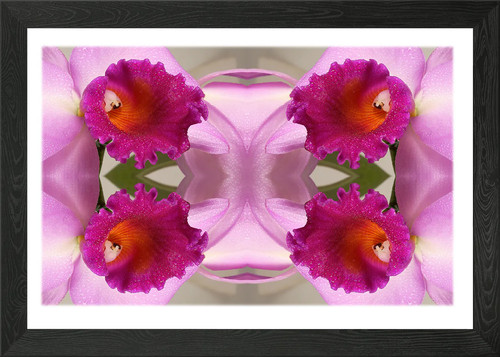 Blumen3 gerahmtes wandbild - blumen3,