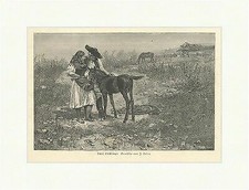 Zwei Lieblinge Pferd Fohlen Vesin Feld Wiese Weide Schürze Paar  E 2652