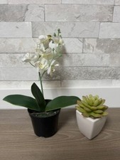 Kleine Kunst Orchidee und Kunst Sukkulente Deko Kunstpflanze Top Zustand