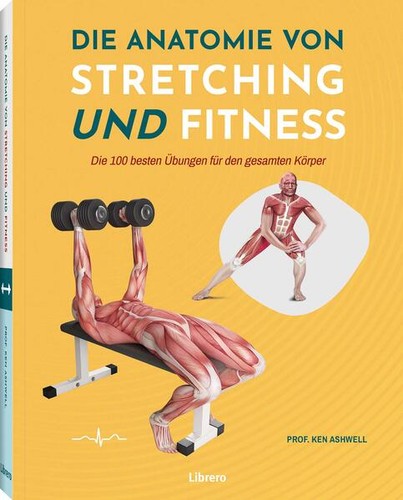 Die anatomie von stretching - anatomie,
