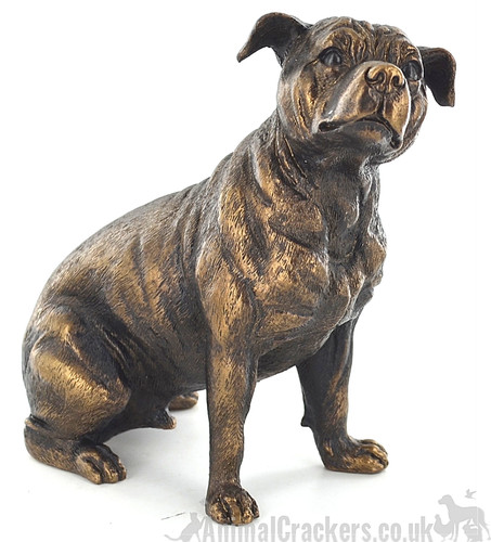 Staffordshire bullterrier - staffordshire,
