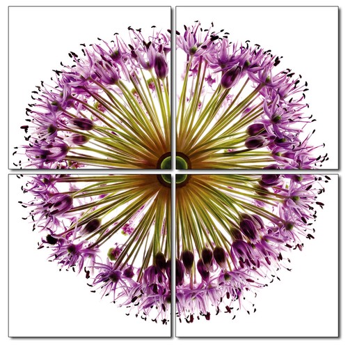 Bild lila blume - flower, mosaik