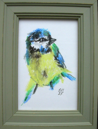Titmouse original öl - titmouse, pastell