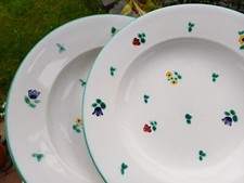 2  Speise- Pasta- Teller   Dm.  24 cm   " Gmundner Keramik - Streublumen "