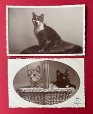 2 x Privat Foto AK um 1930