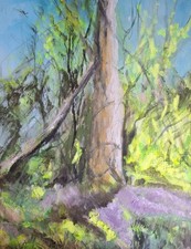 Spring Woods 1.  Original