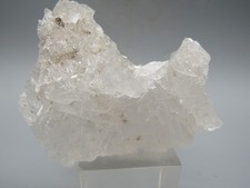 Skeletquarz - Schwimmer