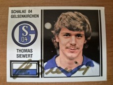 Siewert schalke panini - fc,