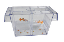 SuperFish schwimmendes