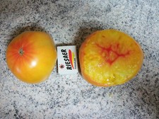 15 Tomatensamen  Tomate Sorte " Ananas  "  Fleischtomaten Stabtomate