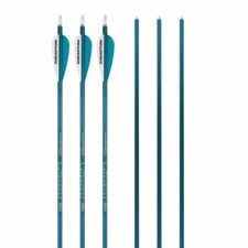 Easton Genesis Teal Arrows