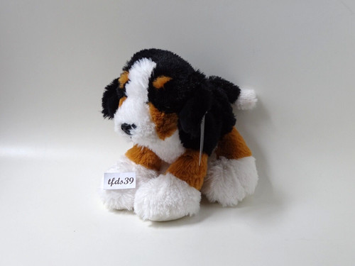 Galeria hund floppy - floppy, welpe