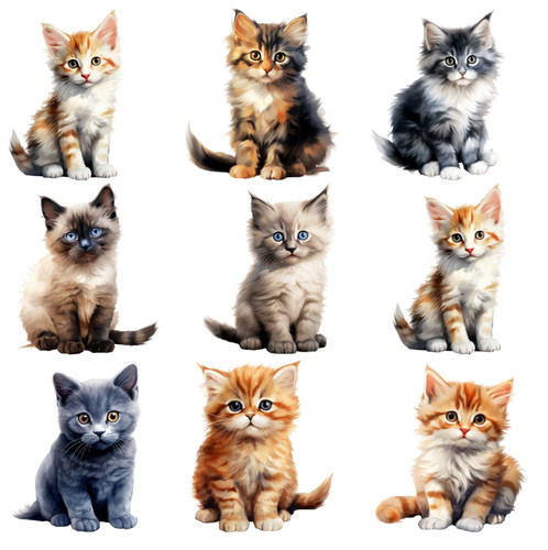 Bügelbild bügelmotiv katze - bügelbild,