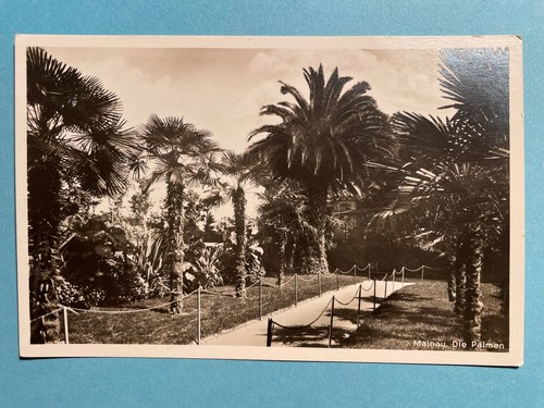 Alte von insel mainau - alte,