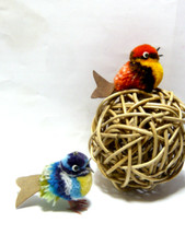 2 kleine Vögel Wolltier