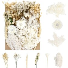 Trockenblumen, Blumen, Deko