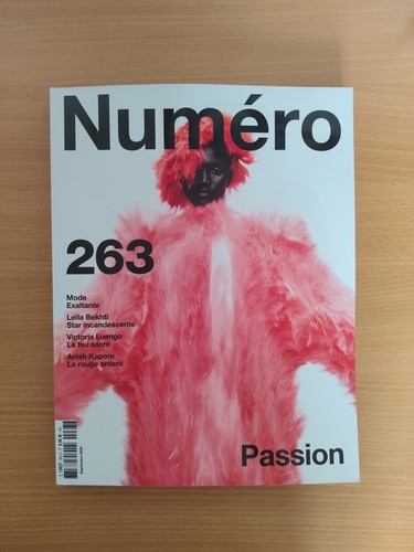 Ausgabe französisches magazin - französisches,