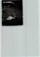 40087259 - 6342 Waldhaus