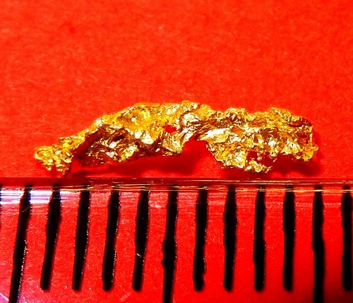 Xxl goldnugget - xxl,