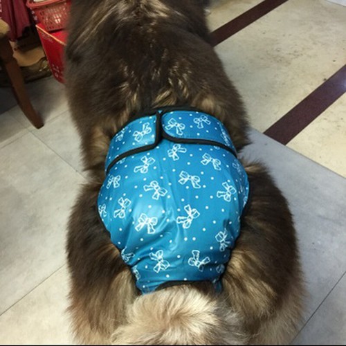 Hundehose waschbar