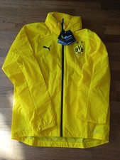 BVB Borussia Dortmund