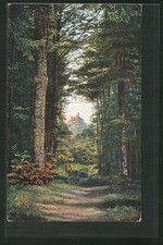 Ansichtskarte Eisenach, Wartburg von der Hohensonne betrachtet 