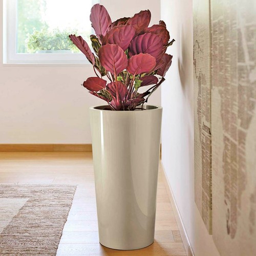Xxl blumentopf mit - blumentopf,