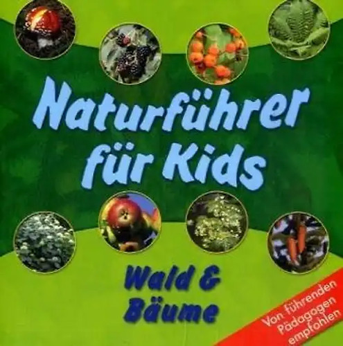 Wald bäume - &,
