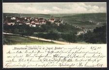 Ansichtskarte Krautheim a. d. Jagst, Gesamtansicht mit Burg und Kirche 1902 