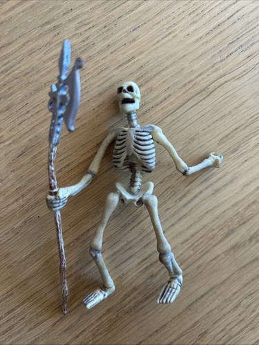 Skelett von papo - von,