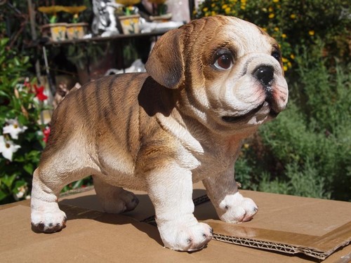 Englische bulldogge deko figur - bulldogge,