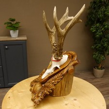 Rehgeweih Medaillenklasse Gold 520 g CIC 143,65 IP HL 28,3 cm hochkapitaler Bock