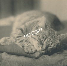 Kunst Foto Nachlass von