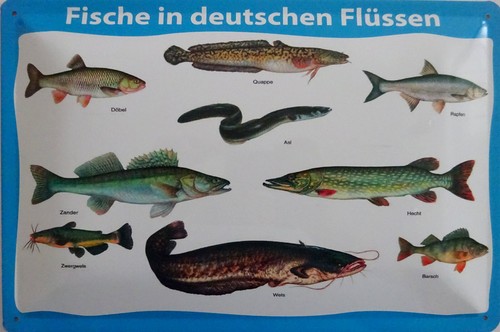 Blechschild schild 20x30 - cm,