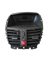 Peugeot 207 BJ06 Display