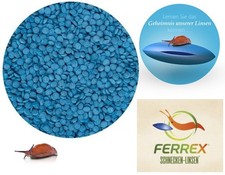 Etisso Schnecken-Linsen á