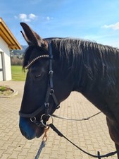 Horseware Trensenzaum RAMBO Micklem Competition Bridle