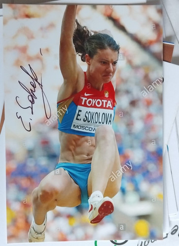 Elena sokolowa - ,