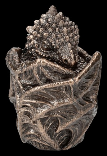 Schatulle drache dragon - -,