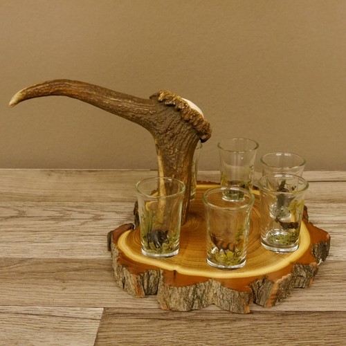 Schnaps anbieter akazieschild - anbieter,