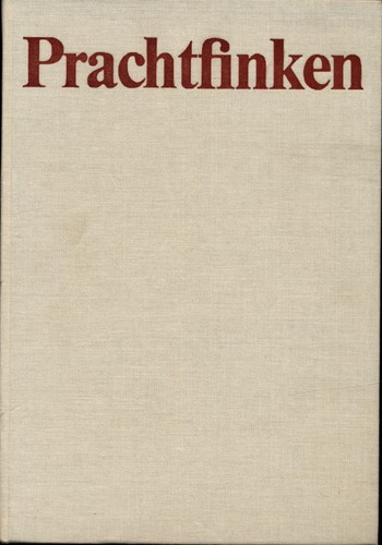 Robiller prachtfinken - prachtfinken,