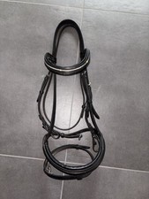 Trense Warmblut, Englisch