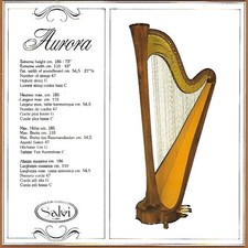 Vintage 1950s illustrated info