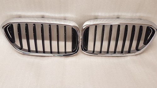 Bmw 5er g30 g31 nieren - g31,