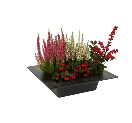 25x25x6cm pflanzschale - 25x25x6cm,
