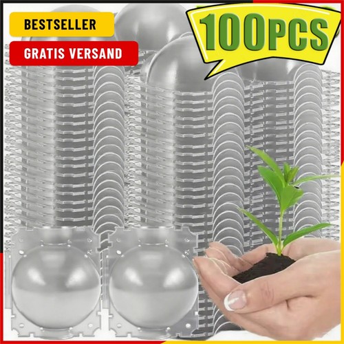 100pcs anlage verwurzelung - anlage,