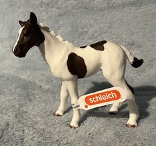 Schleich Horse Club Fohlen NEU! 2025 Edeka Aktion Exklusiv!